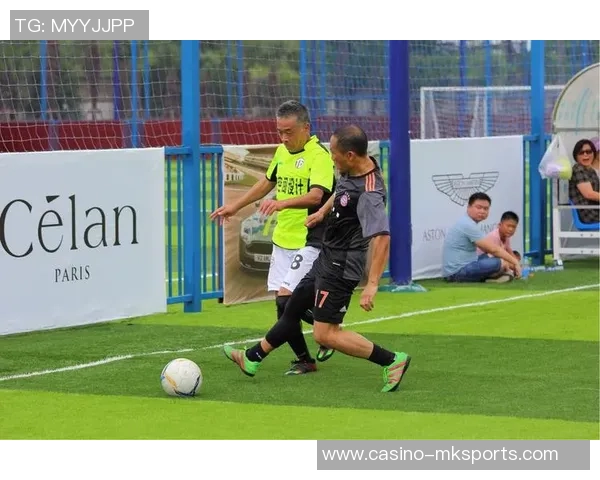 愤怒的小鸟足球赛激情开战小鸟们的团队合作与策略对决 愤怒的小鸟足球赛激情开战小鸟们的团队合作与策略对决